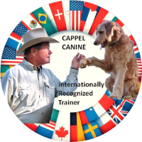 Cappel Canine logo